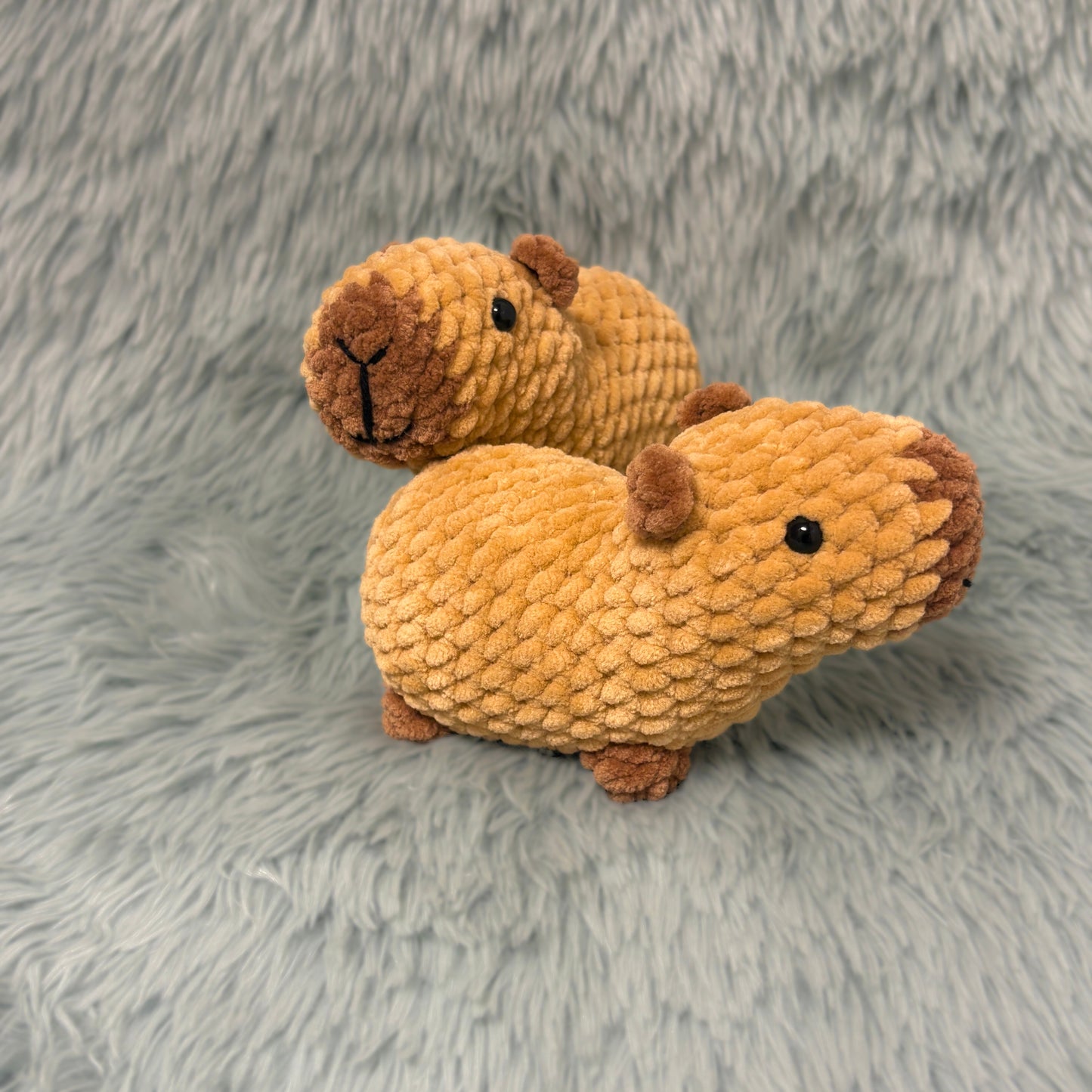 Capybara
