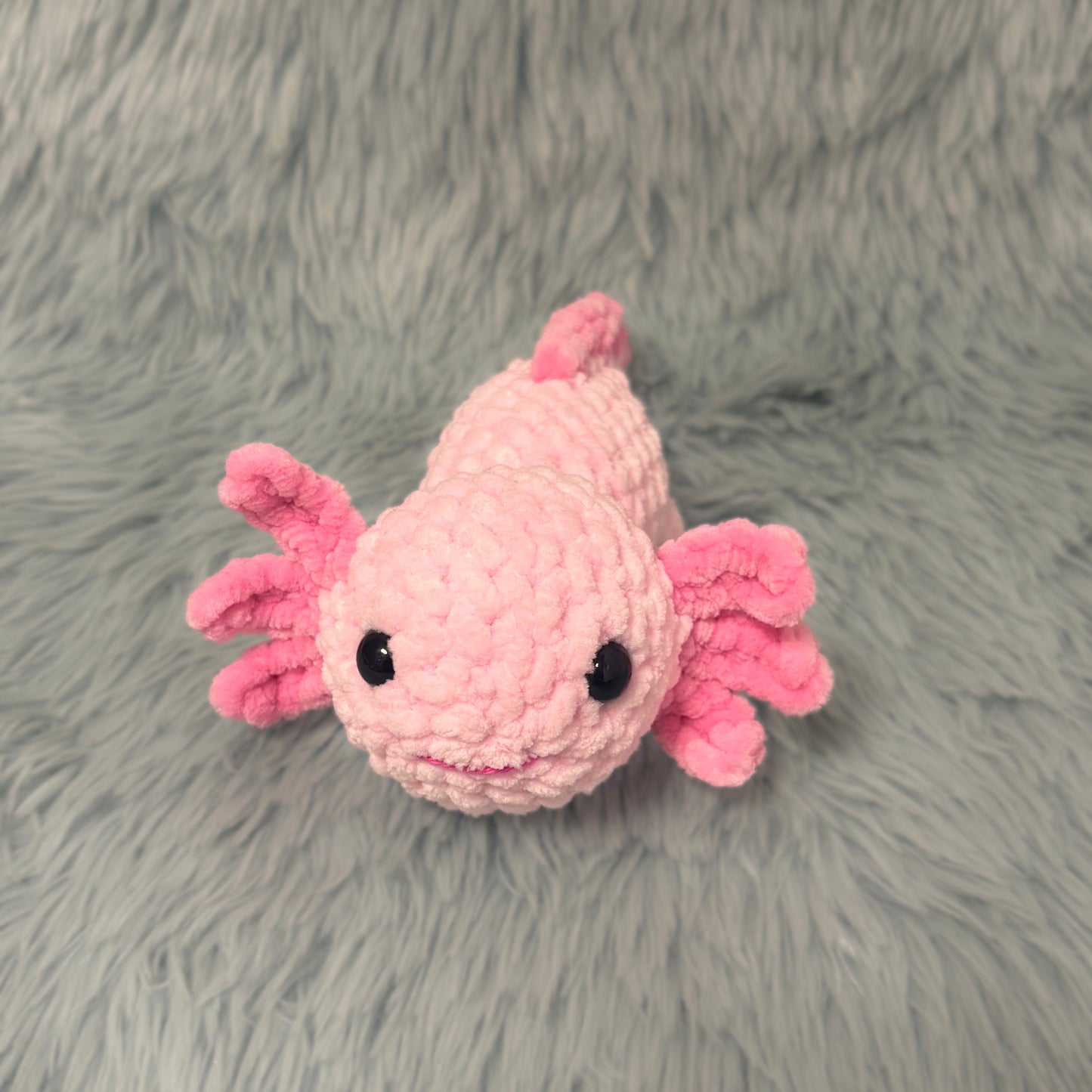 Axolotl
