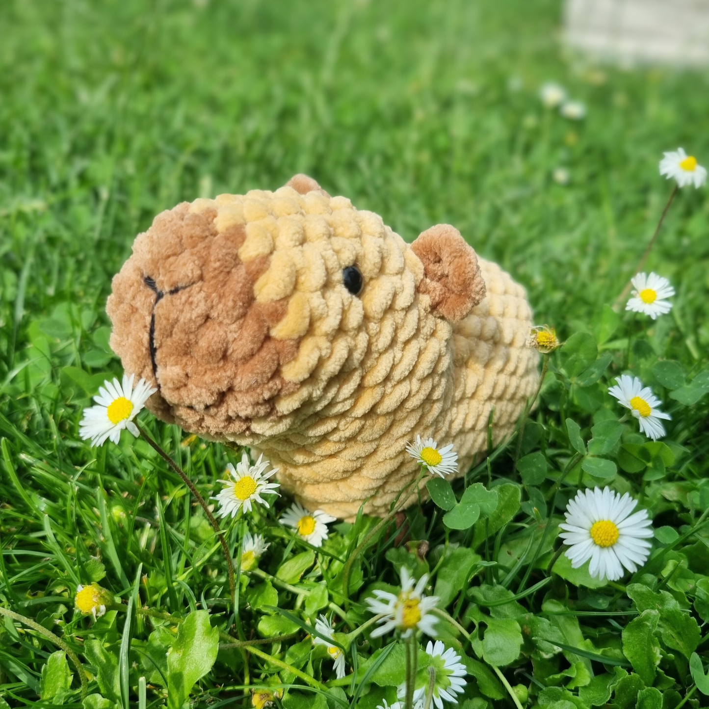 Capybara